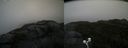 ./images/calvert/buxton2/20200928/buxton220200928_075002M.jpg