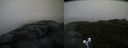 ./images/calvert/buxton2/20200928/buxton220200928_075502M.jpg