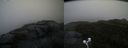 ./images/calvert/buxton2/20200928/buxton220200928_080002M.jpg