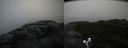 ./images/calvert/buxton2/20200928/buxton220200928_080502M.jpg