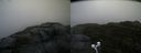 ./images/calvert/buxton2/20200928/buxton220200928_081002M.jpg