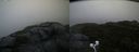 ./images/calvert/buxton2/20200928/buxton220200928_084003M.jpg