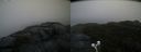 ./images/calvert/buxton2/20200928/buxton220200928_084503M.jpg