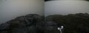 ./images/calvert/buxton2/20200928/buxton220200928_085003M.jpg