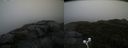 ./images/calvert/buxton2/20200928/buxton220200928_090503M.jpg