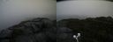 ./images/calvert/buxton2/20200928/buxton220200928_091003M.jpg