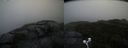 ./images/calvert/buxton2/20200928/buxton220200928_091503M.jpg