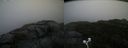 ./images/calvert/buxton2/20200928/buxton220200928_092003M.jpg