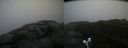 ./images/calvert/buxton2/20200928/buxton220200928_093503M.jpg