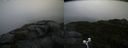 ./images/calvert/buxton2/20200928/buxton220200928_094502M.jpg