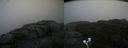./images/calvert/buxton2/20200928/buxton220200928_095002M.jpg