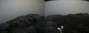 ./images/calvert/buxton2/20200928/buxton220200928_095502M.jpg