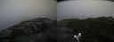 ./images/calvert/buxton2/20200928/buxton220200928_100002M.jpg