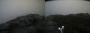 ./images/calvert/buxton2/20200928/buxton220200928_101002M.jpg