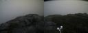 ./images/calvert/buxton2/20200928/buxton220200928_102002M.jpg