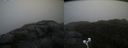 ./images/calvert/buxton2/20200928/buxton220200928_105003M.jpg