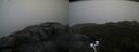 ./images/calvert/buxton2/20200928/buxton220200928_105502M.jpg