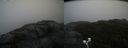 ./images/calvert/buxton2/20200928/buxton220200928_110502M.jpg