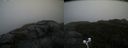 ./images/calvert/buxton2/20200928/buxton220200928_112003M.jpg