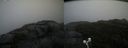 ./images/calvert/buxton2/20200928/buxton220200928_112503M.jpg
