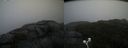 ./images/calvert/buxton2/20200928/buxton220200928_113503M.jpg