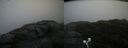./images/calvert/buxton2/20200928/buxton220200928_114003M.jpg
