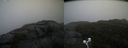 ./images/calvert/buxton2/20200928/buxton220200928_114503M.jpg