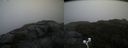 ./images/calvert/buxton2/20200928/buxton220200928_115003M.jpg