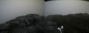 ./images/calvert/buxton2/20200928/buxton220200928_115503M.jpg