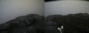 ./images/calvert/buxton2/20200928/buxton220200928_120003M.jpg
