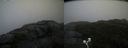 ./images/calvert/buxton2/20200928/buxton220200928_120504M.jpg