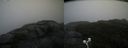 ./images/calvert/buxton2/20200928/buxton220200928_121002M.jpg