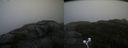 ./images/calvert/buxton2/20200928/buxton220200928_122502M.jpg