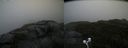 ./images/calvert/buxton2/20200928/buxton220200928_123502M.jpg