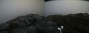 ./images/calvert/buxton2/20200928/buxton220200928_124002M.jpg