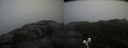 ./images/calvert/buxton2/20200928/buxton220200928_124502M.jpg