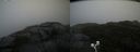 ./images/calvert/buxton2/20200928/buxton220200928_125002M.jpg