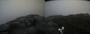 ./images/calvert/buxton2/20200928/buxton220200928_125502M.jpg
