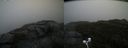 ./images/calvert/buxton2/20200928/buxton220200928_130502M.jpg