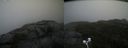 ./images/calvert/buxton2/20200928/buxton220200928_131002M.jpg