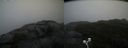 ./images/calvert/buxton2/20200928/buxton220200928_131503M.jpg