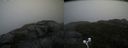 ./images/calvert/buxton2/20200928/buxton220200928_132003M.jpg