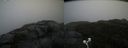 ./images/calvert/buxton2/20200928/buxton220200928_132503M.jpg
