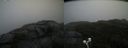 ./images/calvert/buxton2/20200928/buxton220200928_133503M.jpg