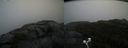 ./images/calvert/buxton2/20200928/buxton220200928_134003M.jpg