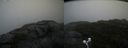 ./images/calvert/buxton2/20200928/buxton220200928_135003M.jpg