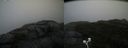 ./images/calvert/buxton2/20200928/buxton220200928_141003M.jpg