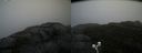 ./images/calvert/buxton2/20200928/buxton220200928_141503M.jpg