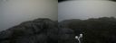 ./images/calvert/buxton2/20200928/buxton220200928_142502M.jpg