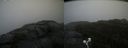 ./images/calvert/buxton2/20200928/buxton220200928_143502M.jpg